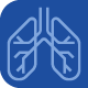 icon_web_HCAM_pulmones